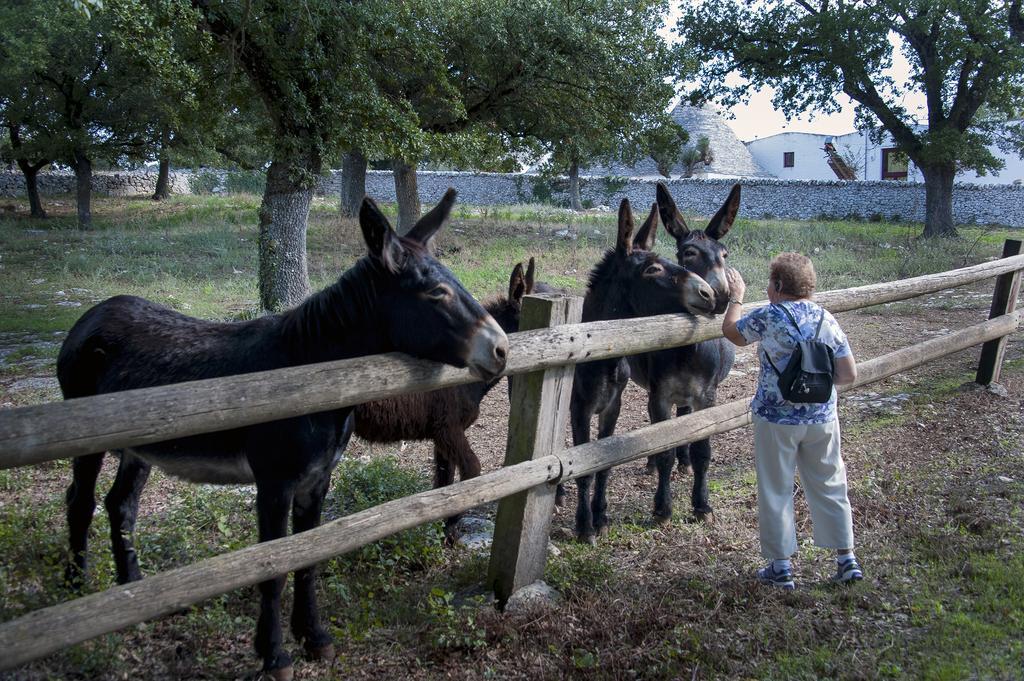 Vakantieboerderij Masseria Ferri *