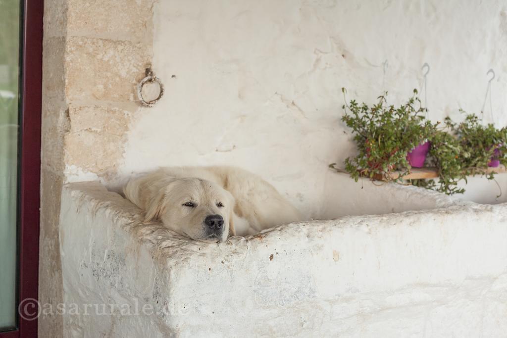 Masseria Ferri Ostuni